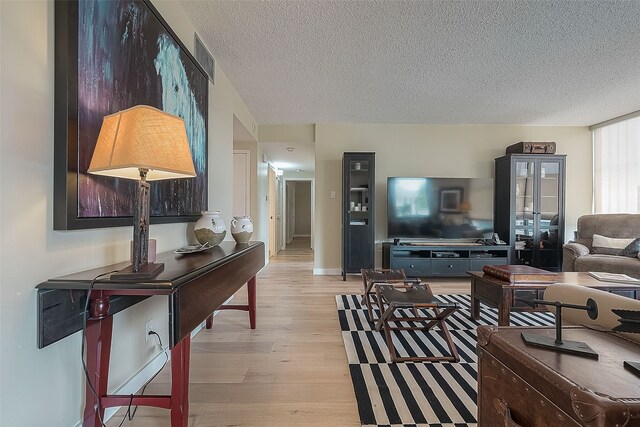 living room featuring a textured ceiling and light hardwood / wood-style flooring