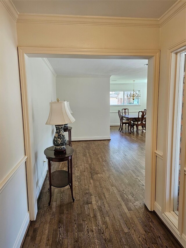 corridor with an inviting chandelier, dark hardwood / wood-style floors, and ornamental molding