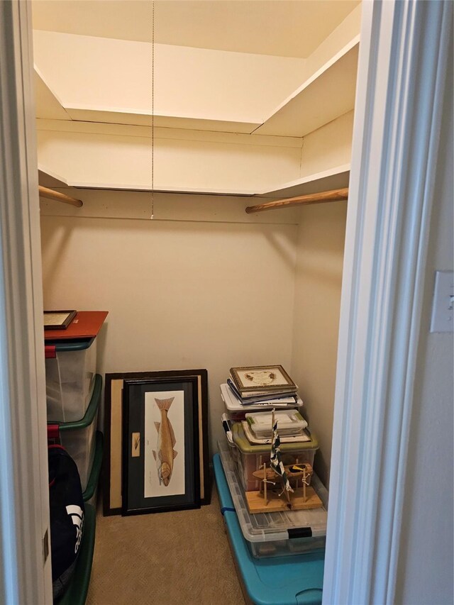 walk in closet featuring carpet