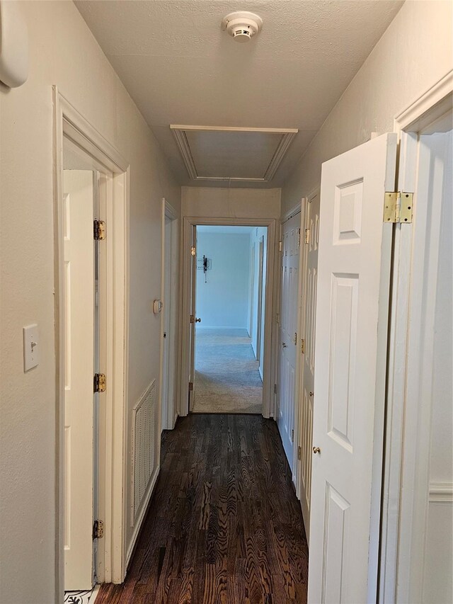 hallway with a textured ceiling and dark hardwood / wood-style floors