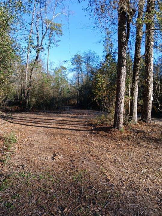 Listing photo 3 for 2161 Fostoria Tram Rd, Cleveland TX 77328