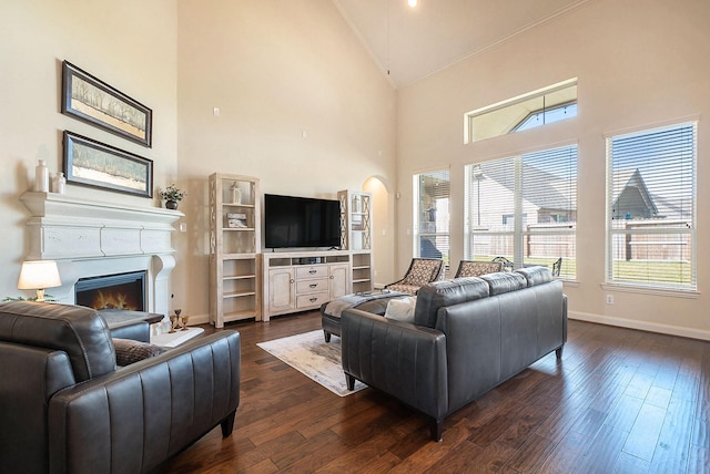 living room featuring high vaulted ceiling and dark wood-type flooring