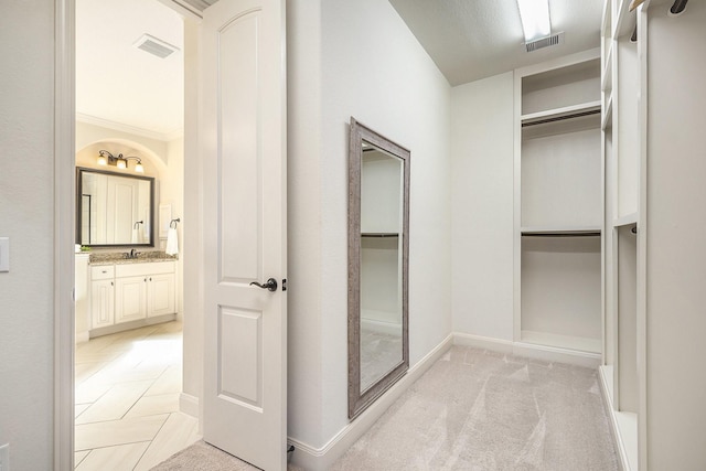 spacious closet with light carpet and sink