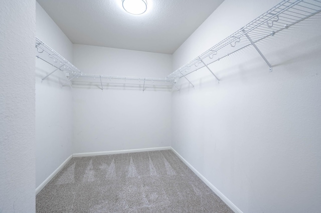 walk in closet with carpet