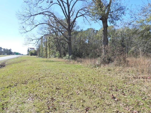 Listing photo 2 for TBD US Highway 59 N Loop N, Livingston TX 77351