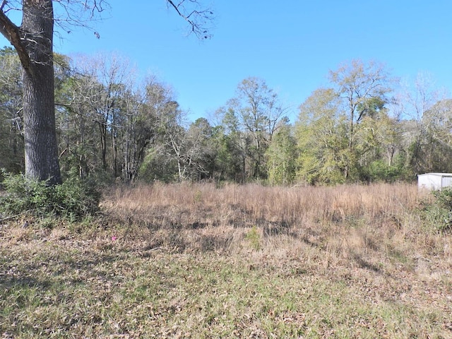 Listing photo 3 for TBD US Highway 59 N Loop N, Livingston TX 77351