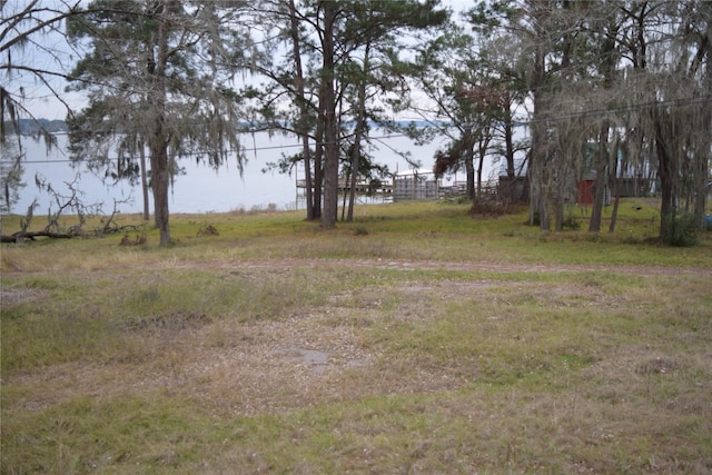 view of yard with a water view