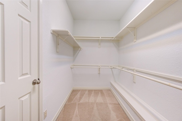 walk in closet featuring carpet