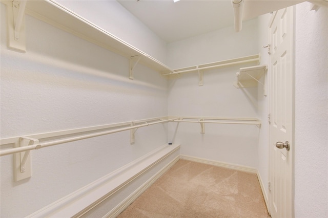 spacious closet featuring light colored carpet