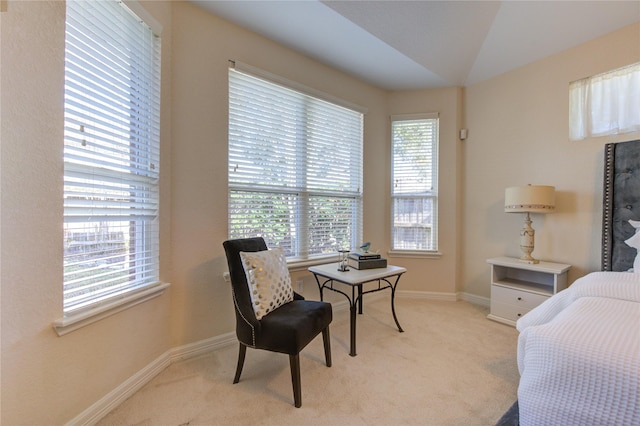 interior space featuring light colored carpet and lofted ceiling