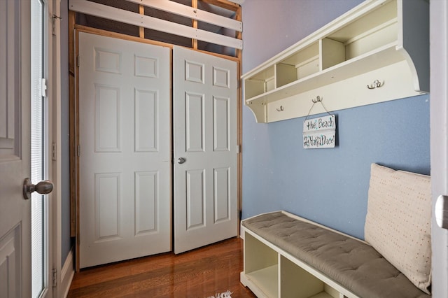 mudroom featuring dark wood-type flooring