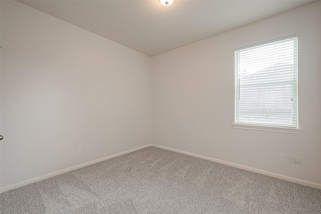 spare room featuring carpet floors