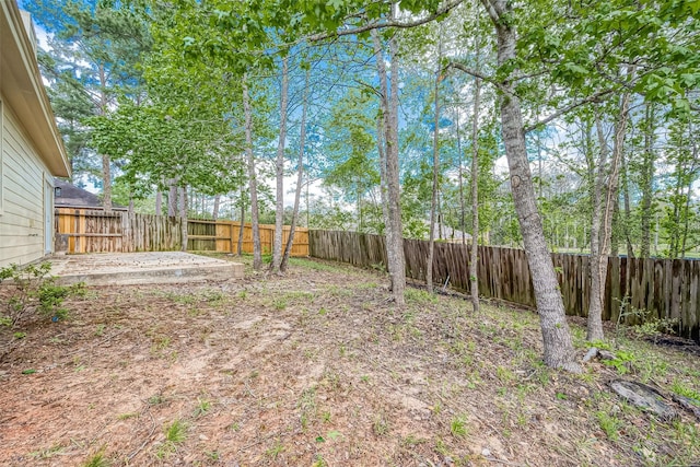 view of yard featuring a patio area