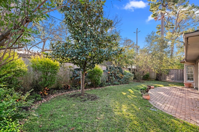 view of yard with a patio