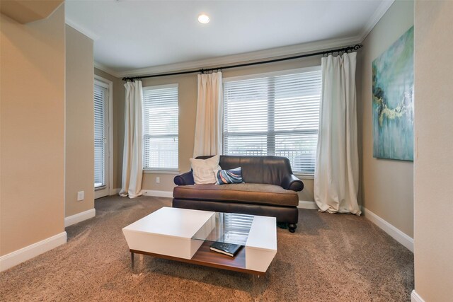 living room featuring carpet flooring and ornamental molding