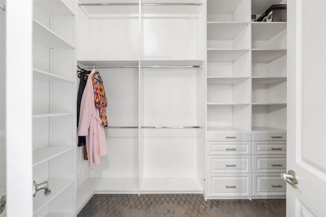 view of walk in closet