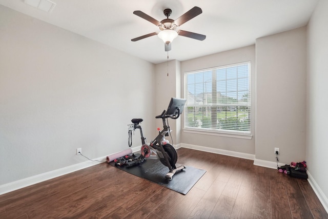 workout room with dark hardwood / wood-style floors and ceiling fan