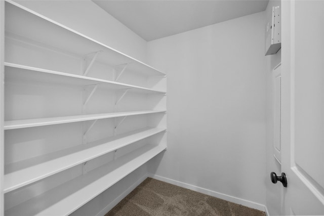 spacious closet featuring dark colored carpet