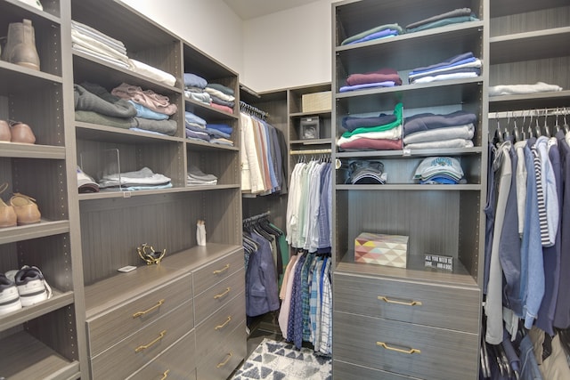 view of spacious closet