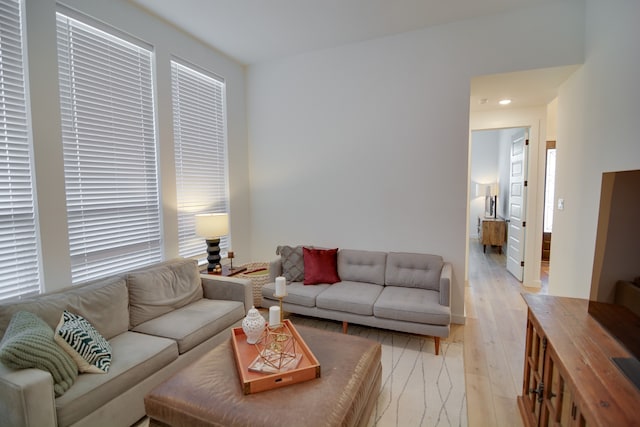 living room with light wood-type flooring and plenty of natural light