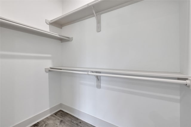 spacious closet with wood-type flooring