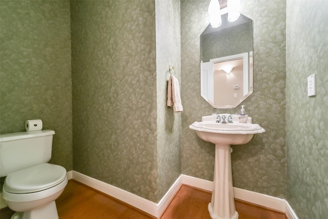 bathroom with hardwood / wood-style floors and toilet