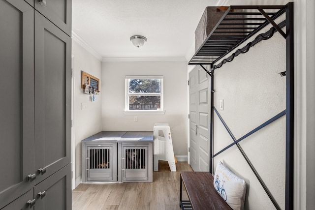 laundry room featuring light wood-type flooring and crown molding