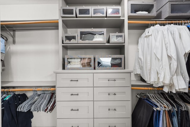 view of walk in closet