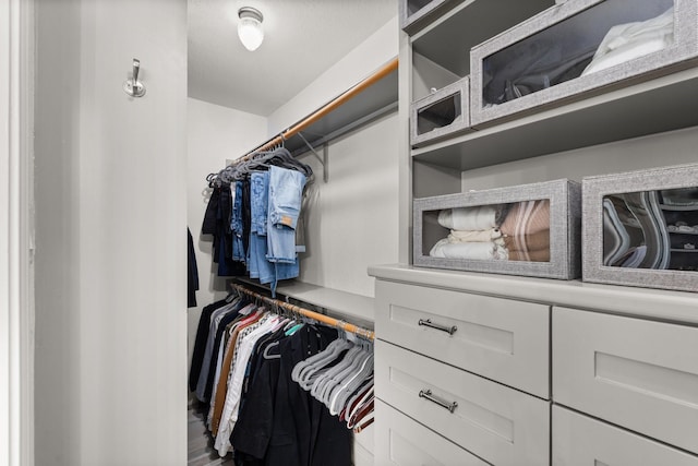 spacious closet featuring hardwood / wood-style flooring