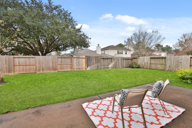 view of yard featuring a patio area