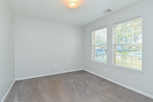 spare room featuring carpet floors