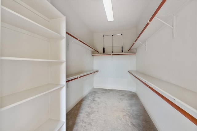 walk in closet with light colored carpet