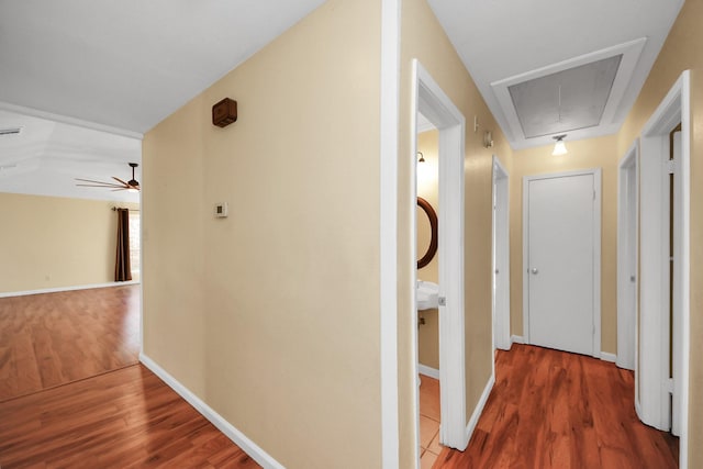 corridor featuring wood-type flooring