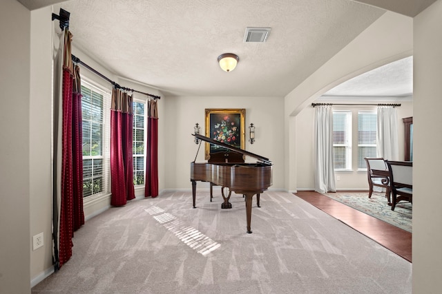 interior space featuring light colored carpet, a textured ceiling, and a wealth of natural light