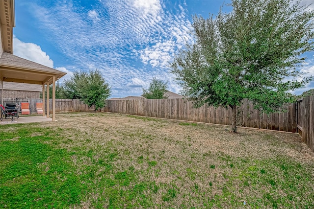 view of yard featuring a patio area