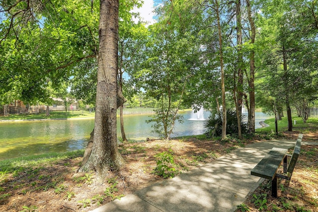 property view of water