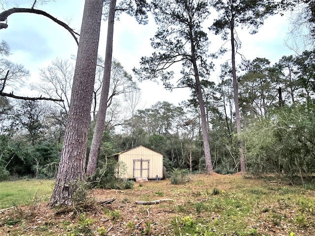 view of yard with a shed