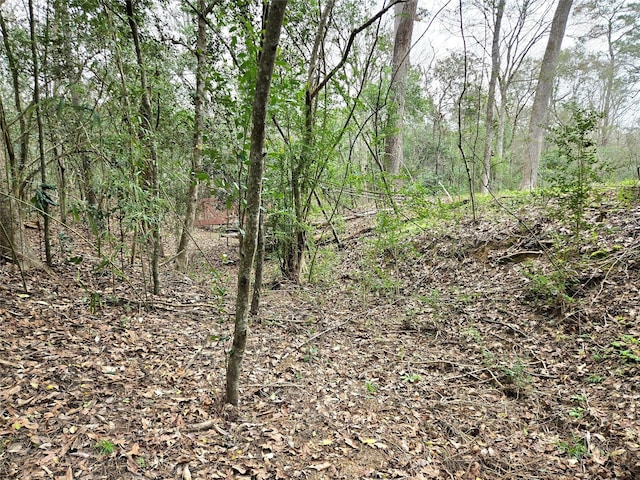 view of landscape