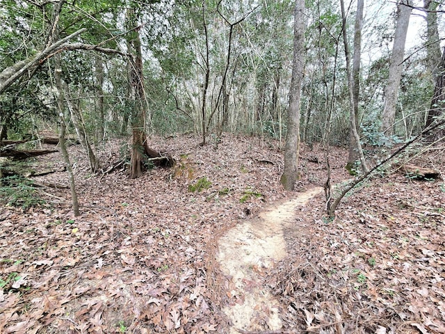 view of local wilderness