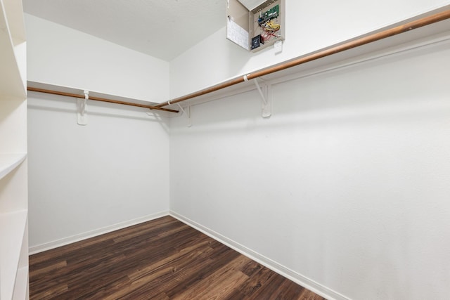 walk in closet with dark hardwood / wood-style floors