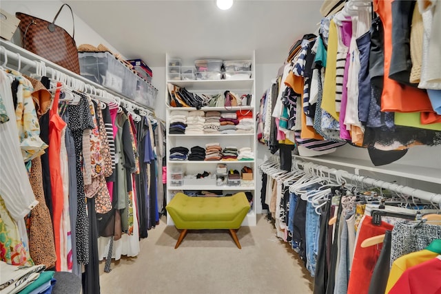 spacious closet with light colored carpet