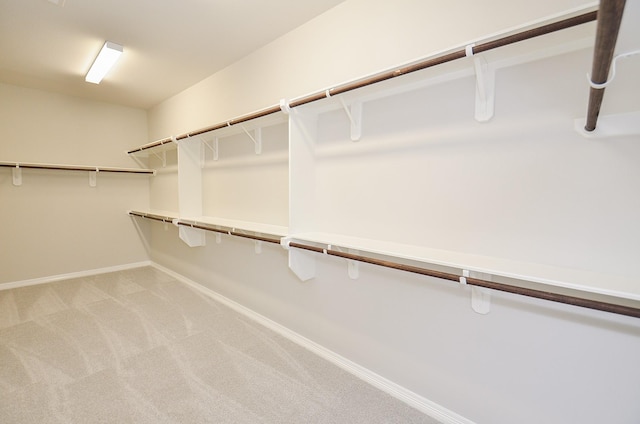 walk in closet with light colored carpet