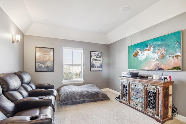 carpeted bedroom with a raised ceiling