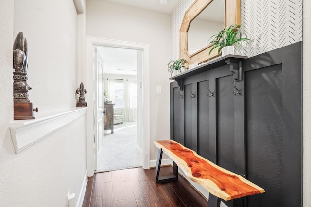 mudroom featuring dark wood-type flooring