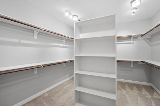 spacious closet featuring light carpet