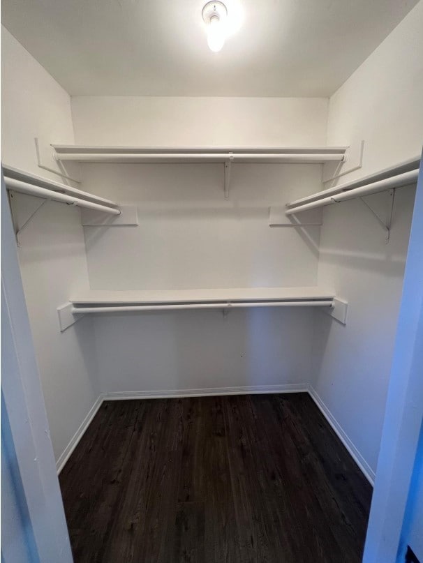 walk in closet with dark hardwood / wood-style flooring