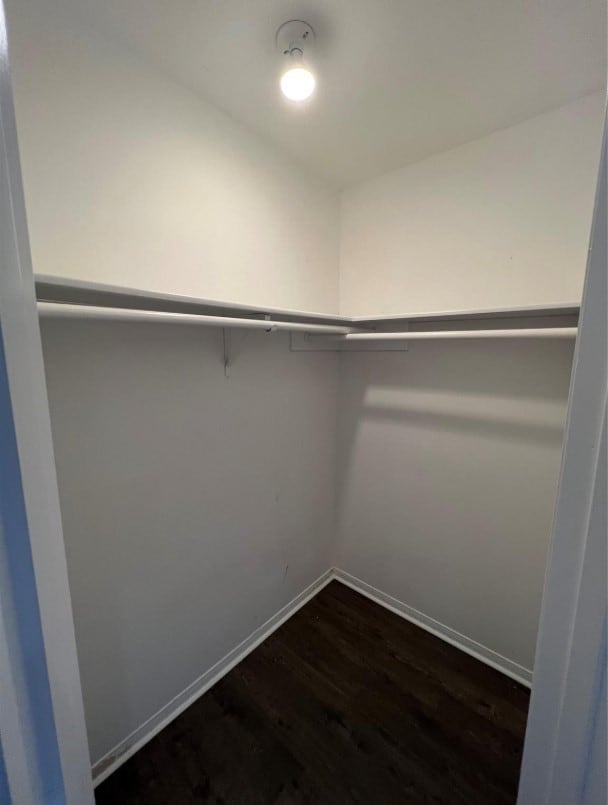 walk in closet featuring dark hardwood / wood-style flooring