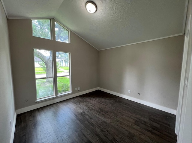 additional living space with lofted ceiling, dark wood-type flooring, and a textured ceiling