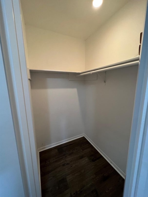 walk in closet with dark wood-type flooring