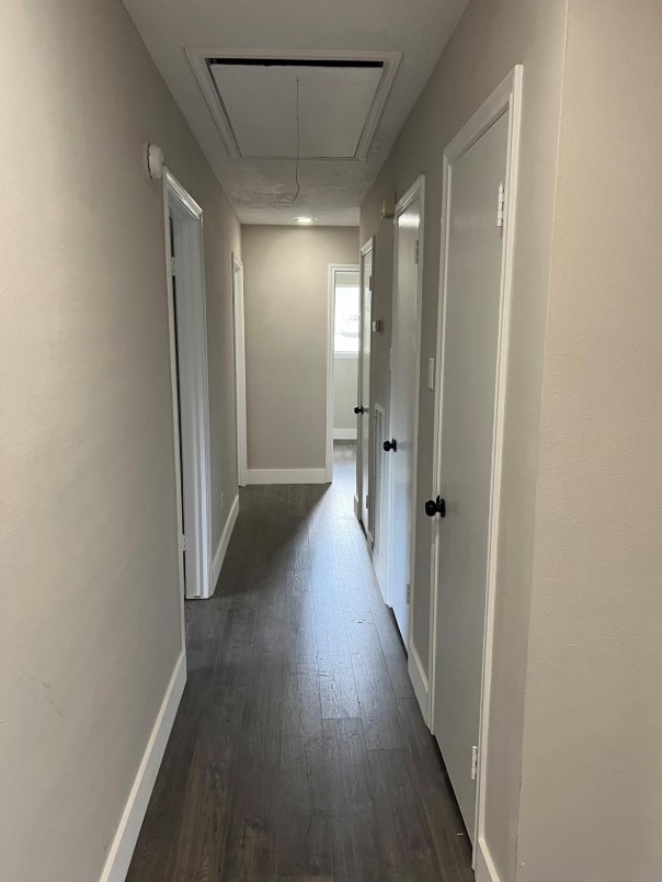 corridor featuring dark hardwood / wood-style floors